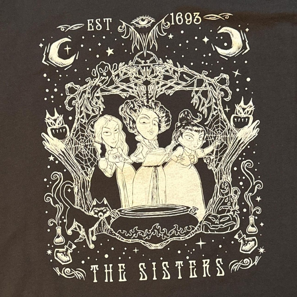 Disney Hocus Pocus Sanderson Sisters Graphic Tee Shirt Cotton Gray L